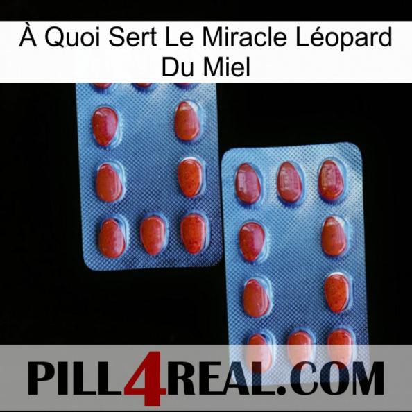 À Quoi Sert Le Miracle Léopard Du Miel 05.jpg
